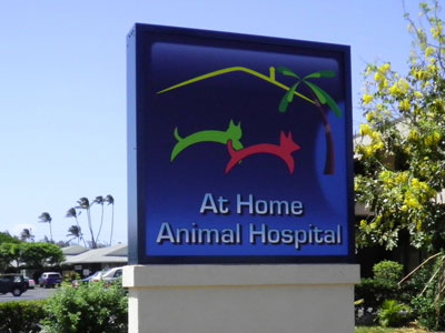 At Home Animal Hospital - Double-faced light cabinet. Internally lit with LEDs. Mounted onto CMU wall with stucco finish.