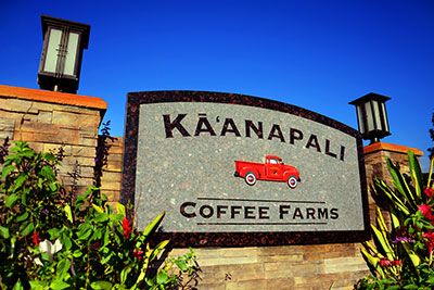Ka'anapali Coffee Farms - Sand carved granite with raised letters and hand painted waterjet cut basalt stone logo